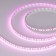 Светодиодная лента RT-A120-8mm 12V Pink (9.6 W/m, IP20, 2835, 5m) (Arlight, Открытый) цена за 1 метр