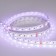 Светодиодная лента RT 2-5000 24V RGBW-MIX 12mm (5060-One, 60 LED/m, LUX) (Arlight, 20 Вт/м, IP20) цена за 1 метр